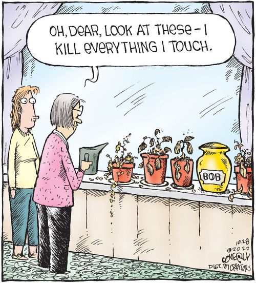 "Oh dear, look at these - I kill everything I touch."