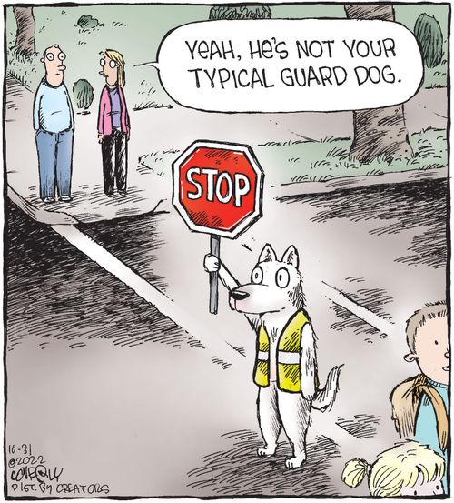 "Yeah, he's not your typical guard dog."