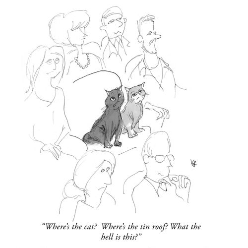 "Where's the cat? Where's the tin roof? What the hell is this?"