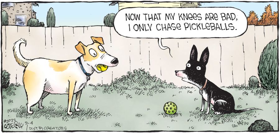 "Now that my knees are bad, I only chase pickleballs." 
