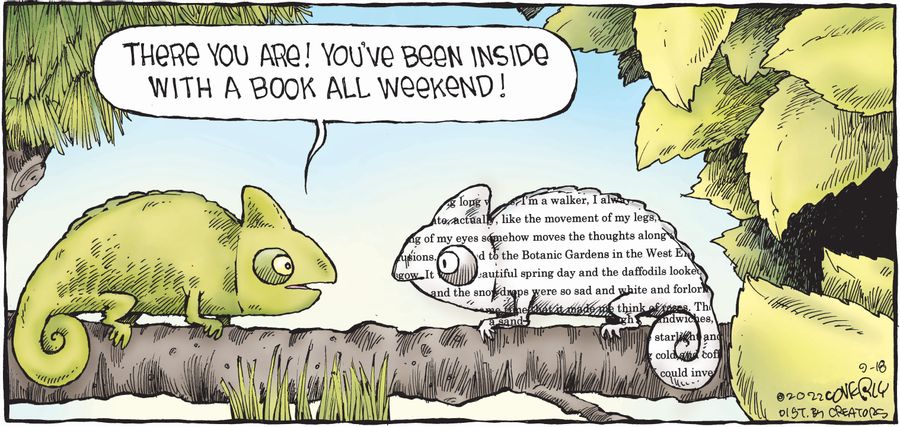 "There you are! You've been inside with a book all weekend!"
