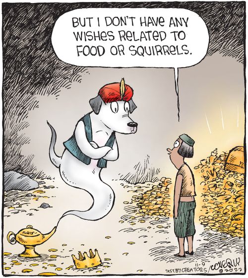 "But I don't have any wishes related to food or squirrels."