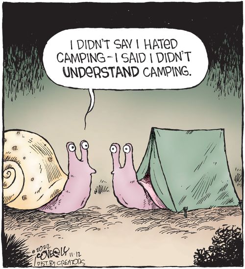 "I didn't say I hated camping - I said I didn't understand camping."