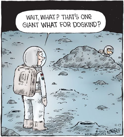 "Wait, what? That's one giant what for dogkind?"