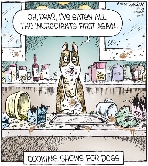 Cooking shows for dogs