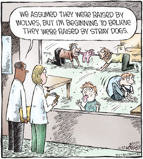 "We assumed they were raised by wolves, but I'm beginning to believe they were raised by stray dogs."k Upload
