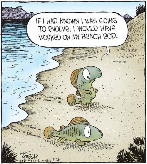 "If I had known I was going to evolve, I would have worked on my beach bod."