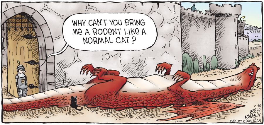"Why can't you bring me a rodent like a normal cat?"