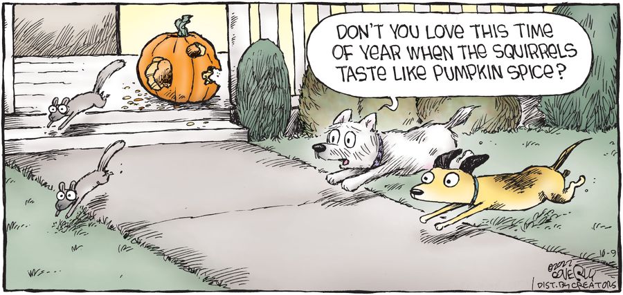 "Don't you love this time of year when the squirrels taste like pumpkin spice?"