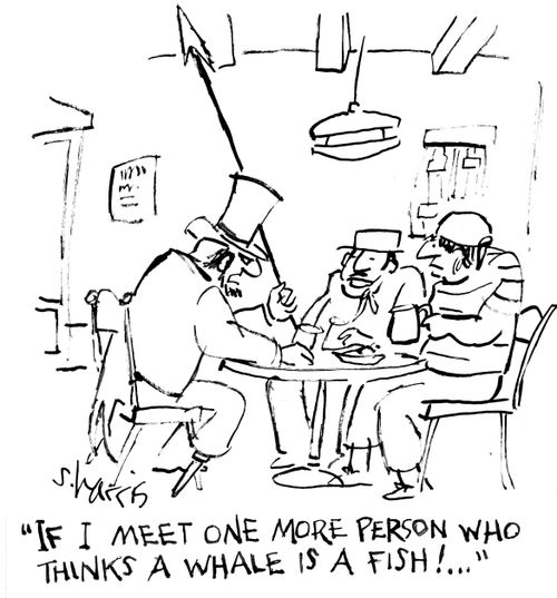 "If I meet one more person who thinks a whale is a fish!..."