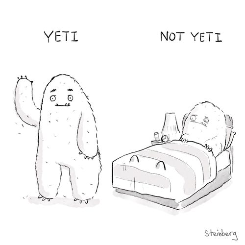 Yeti/Not Yeti