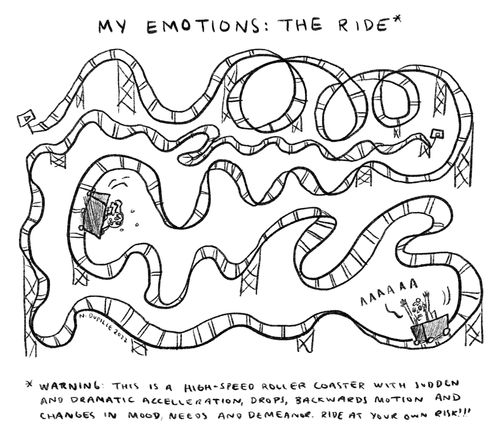 My emotions: The ride.