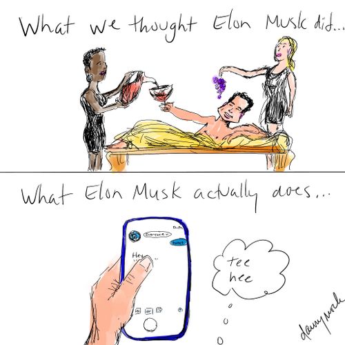 What we thought Elon Musk did...What Elon Musk actually does...