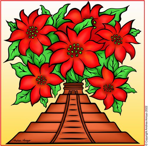 Poinsettia, From Mexico to the World