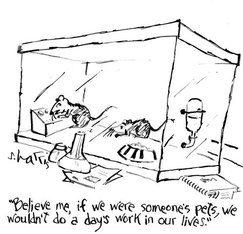 "Believe me, if we were someone's pets, we wouldn't do a day's work in our lives."