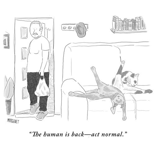 "The human is back - act normal."