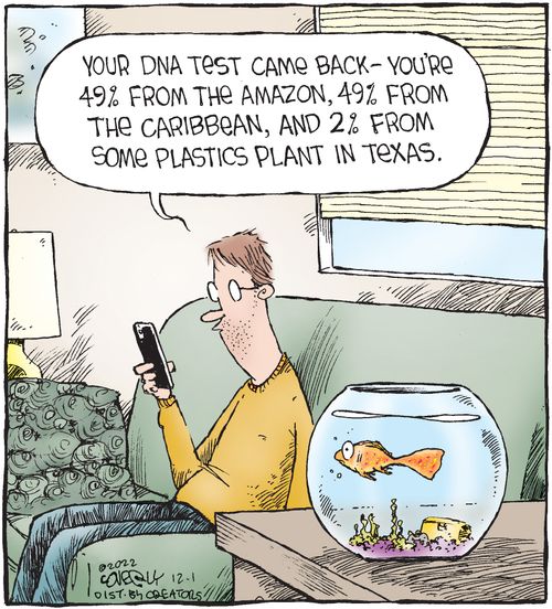 "Your DNA test came back – you're 49% from the Amazon, 49% from the Caribbean, and 2% from some plastics plant in Texas."