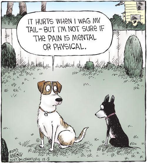 "It hurts when I wag my tail – but I'm not sure if the pain is mental or physical."