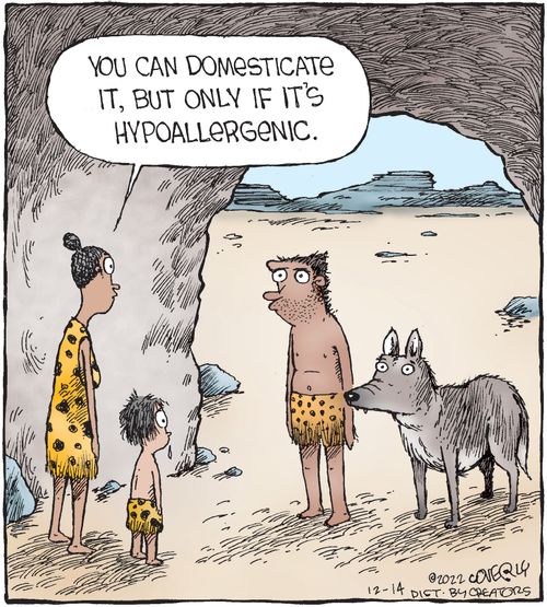 "You can domesticate it, but only if it's hypoallergenic." 