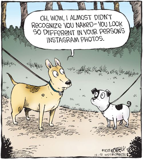"Oh, wow, I almost didn't recognize you naked – you look so different in your person's Instagram photos."