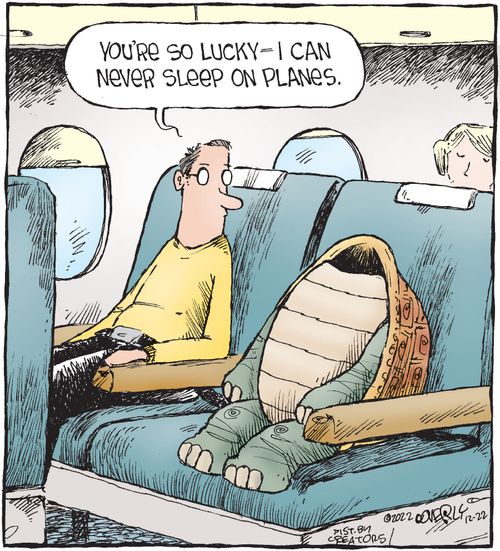 "You're so lucky – I can never sleep on planes."