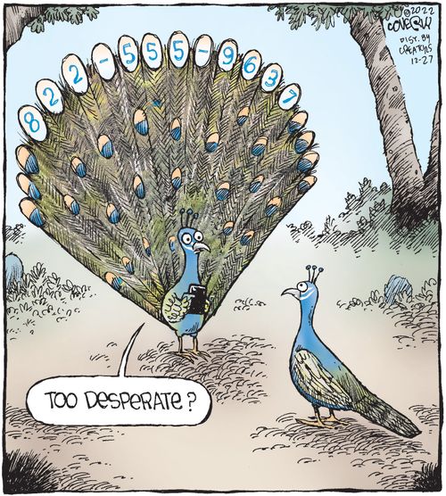 "Too desperate?"