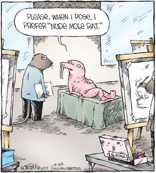 "Please, when I pose, I prefer 'nude mole rat.'"