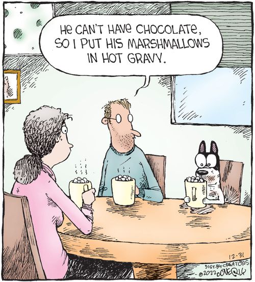 "He can't have chocolate, so I put his marshmallows in hot gravy."