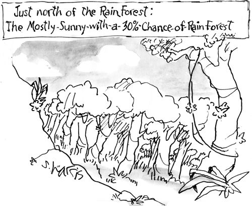 Just north of the rainforest: the mostly-sunny-with-a-30%-chance-of-rainforest