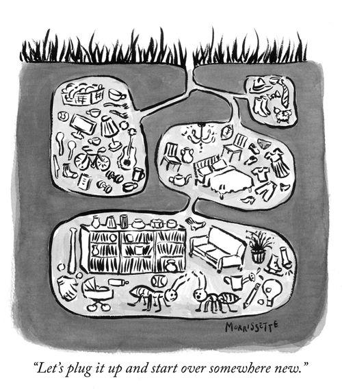 "Let's plug it up and start somewhere new."