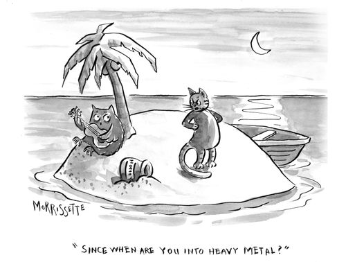 "Since when are you into heavy metal?"