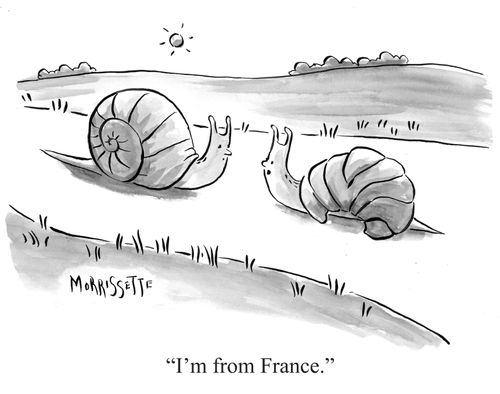 "I'm from France."