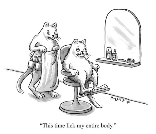 "This time lick my entire body."