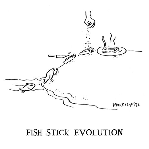 Fish Stick Evolution