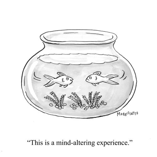 "This is a mind-altering experience."