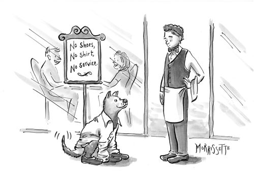 Dog Dressed to Eat