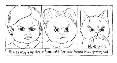 It was only a matter of time until Gertrude turned into a grumpy cat.