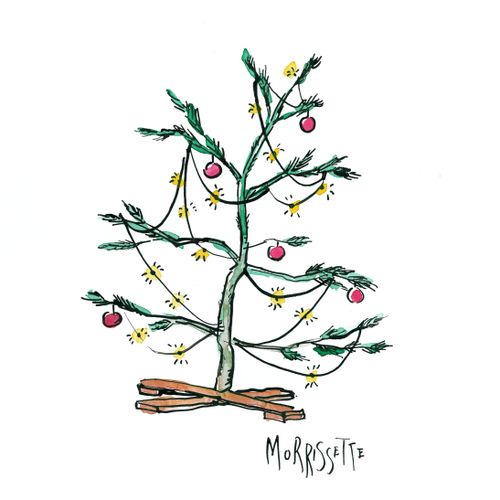 Bare Christmas tree.
