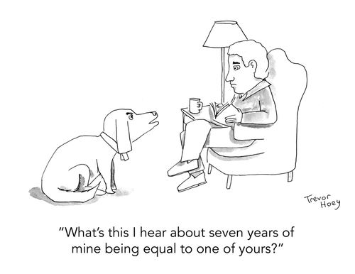 "What's this I hear about seven years of mine being equal to one of yours?"