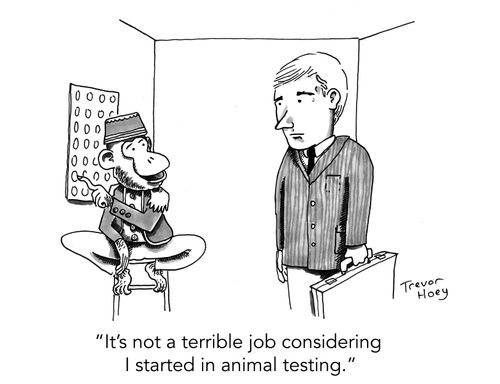 "It's not a terrible job considering I started in animal testing."