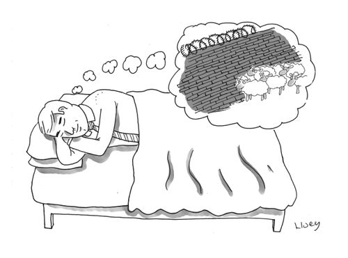 Sleeping Techniques