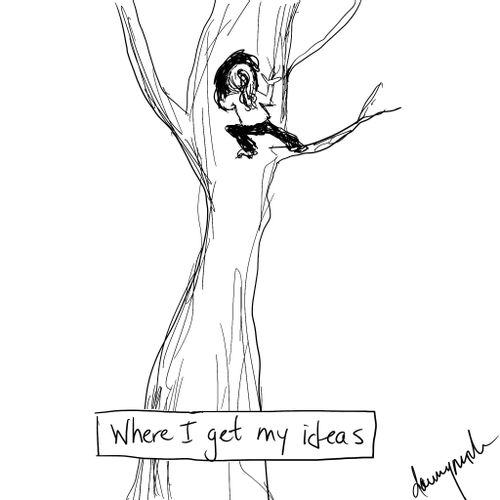 Where I get my ideas