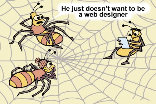 "He just doesn't want to be a web designer."