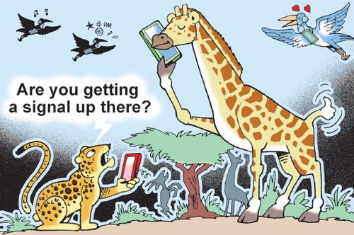 "Are you getting a signal up there?"