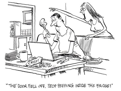 "The door fell off. Stop peeping inside the fridge!"