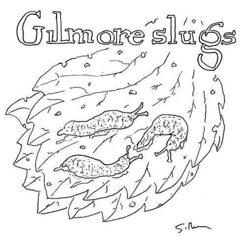 Gilmore Slugs 