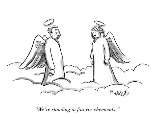 "We're standing in forever chemicals."
