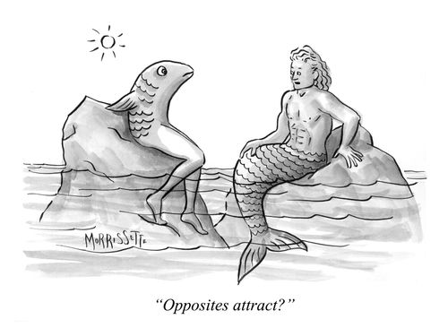 "Opposites attract?"