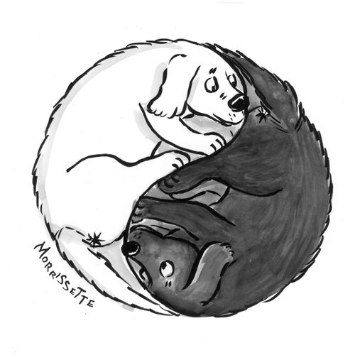 Yin Yang Dogs