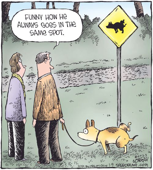 "Funny how he always goes in the same spot."
